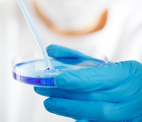 A blue-gloved hand pipetting blue liquid into a petri dish.